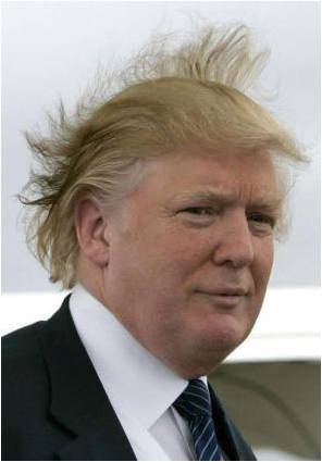 Fiery debate still swirls around the authenticity of Donald Trump's hair