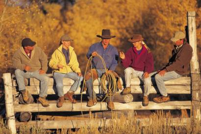 Fence Sitting Cowboys
